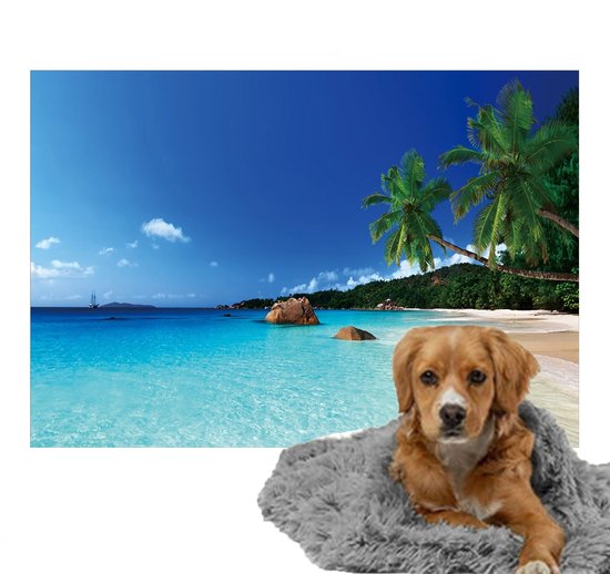 Ulticool - Couverture Lit pour Chien - Chien Chat Chat Pet - Plage Tropicale Mer Palmier - Polaire - Plaid sur Canapé - Tapis Coussin - Banquette Arrière Coffre Voiture - Accessoire Imprimé Animal Décoration